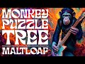 Monkey Puzzle Tree (Maltloaf)