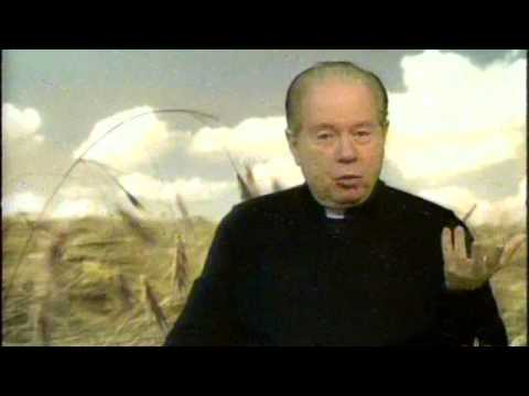 O Pão Nosso 20 Julho 2014 - Pe.F.C.Cardoso.