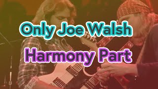 Download lagu Hotel Carifornia / EAGLES guitar solo backing track with Joe Walsh harmony part mp3