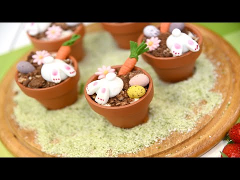 Aroma Kitchen Prog 28 - 060423