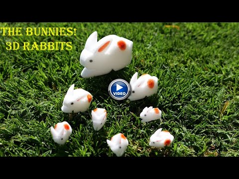 Voir la vidéo de The Bunnies! 3D Rabbits - Kids & Grandpa