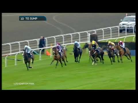 2014 William Hill - Download The App Novices' Chase