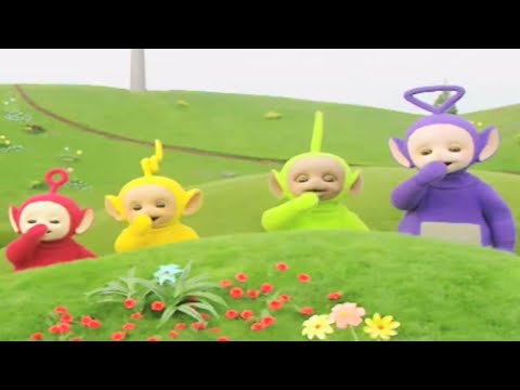 Teletubbies 12 03 - Hide & Seek | Cartoons for Kids