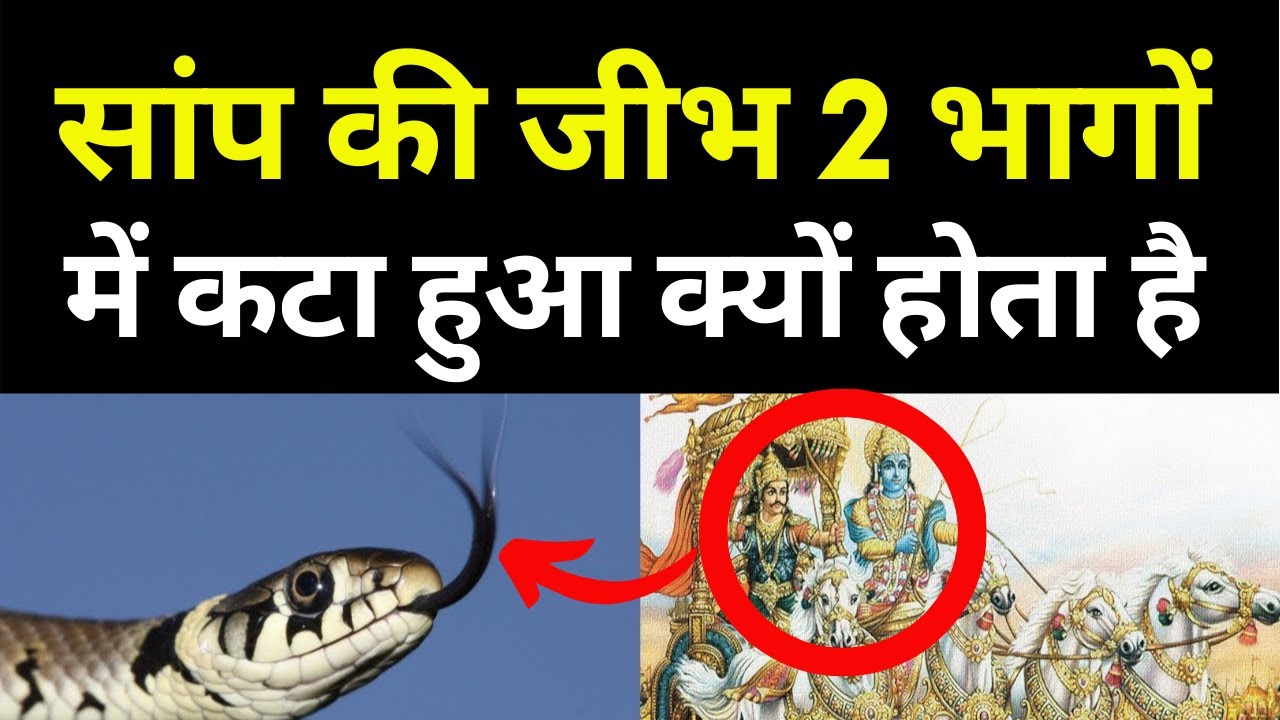 Reason Behind Snakes Tongue Cuts In Two Parts | Mahabharat Mystery