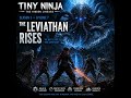 The Leviathan Rises