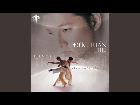 Thu cô liêu Sheet - Đức Tuấn