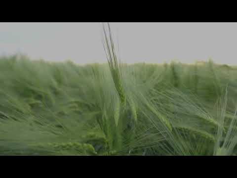 Vol 12, No 2, April 2023 - International Journal on Natural Language Computing IJNLC