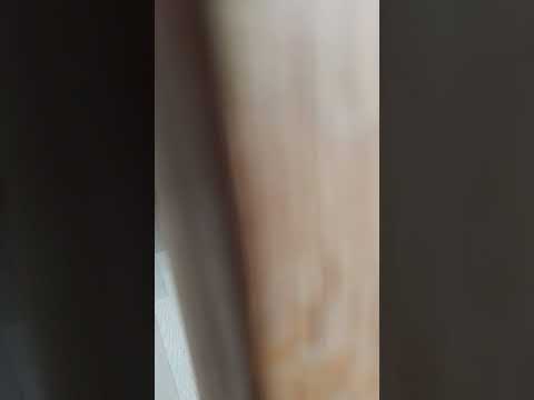 Sænk farten Red et liv Oraklet 