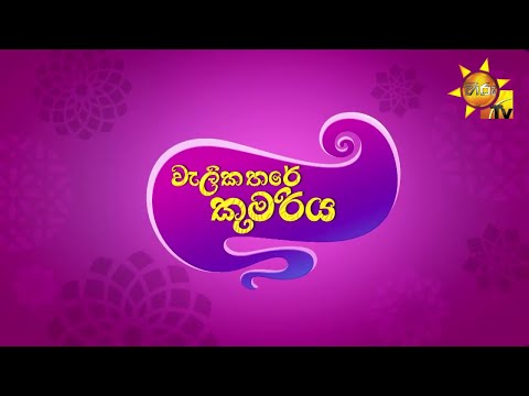 Sherazade: The Untold Stories - Opening (Sinhala) | වැලි කතරේ කුමරිය