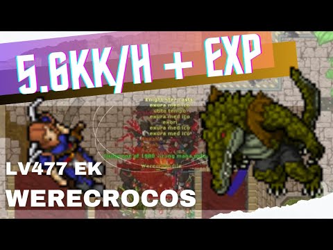 EK 400+ Werecrocodiles - 5.6KK/H 150% EXP and 700K PROFIT.  RAW: 3.7KK/H