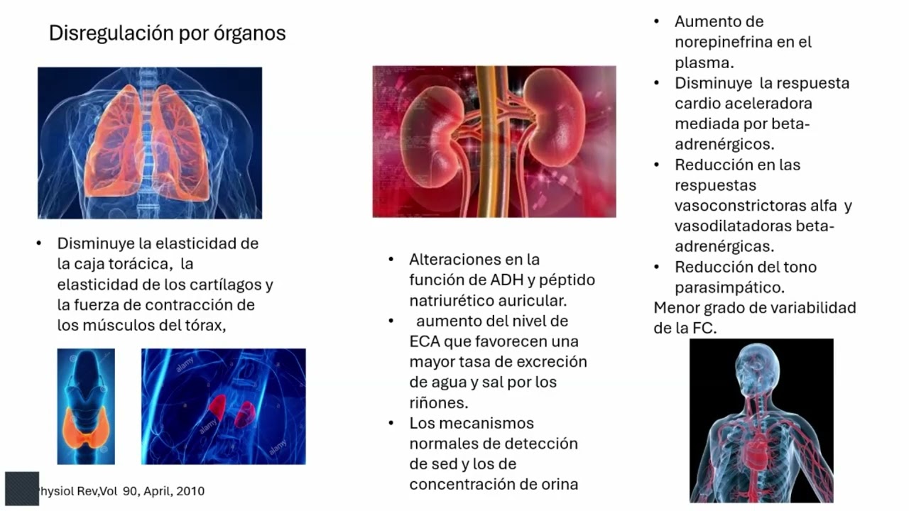 Resistencia a la insulina en el cerebro: ¿Diabetes Mellitus tipo 3?
