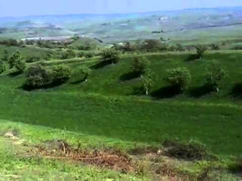 ORAS SARMAS SAT BALDA