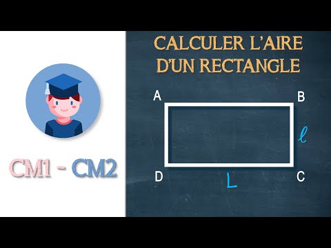 Calculer l'aire d'un rectangle - CM1 CM2 - Petits Savants