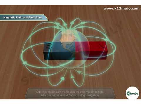 Magnetic Field and Field lines