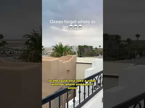 She just got an alert that there's gonna be a Tsunami #shorts