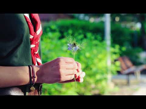 Zwiewność - Bez Jacka [cover]