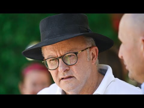 ‘Twenty-five days of inaction’: Albanese blasted for ‘procrastinating’ on Royal Commission