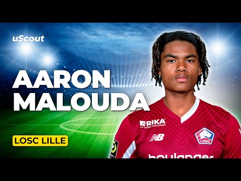 How Good Is Aaron Malouda at Losc Lille?