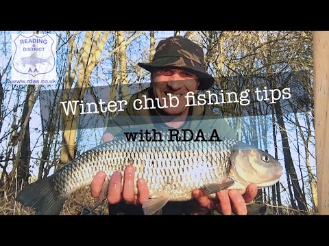 Winter chub fishing tips with RDAA