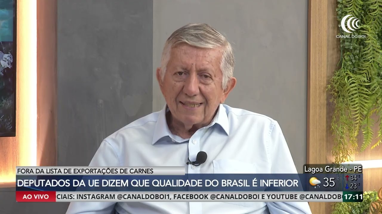 Mercado do boi começa setembro com alta e atenção ao mercado externo