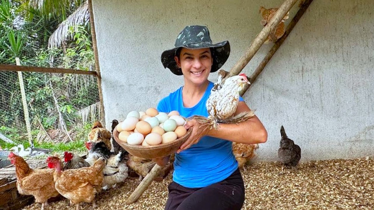 Tudo sobre meu galinheiro e manutenção anual para a saúde das galinhas