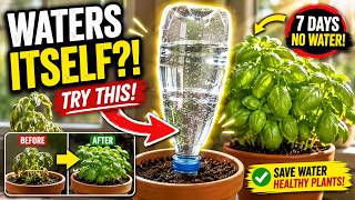 Turn Plastic Bottles into a Water Reservoir: The Beginner's Guide to Effortless Self-Watering Plants