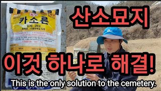 산소ㆍ묘지 잡풀 한방에 해결! This is the only solution to the cemetery.