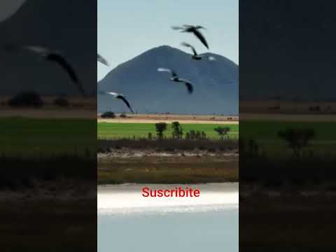 La Laguna de POCHO Córdoba #turismo #viajeinolvidable #travesia