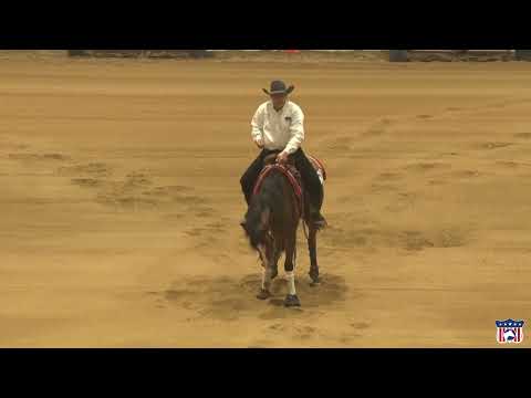 2023 Quarter Horse Congress Open Reining Finals Peter DeFreitas on Gotta New Zipcode