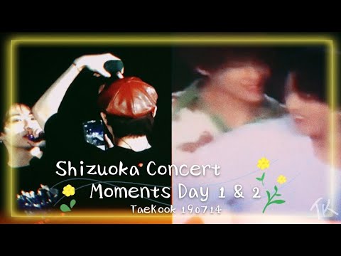 190714 TaeKook ~ Shizuoka Concert Moments Day 1 & 2