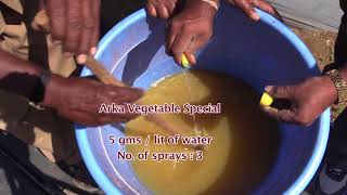 ARKA-KALYAN — High Yielding Variety & Production Technologies