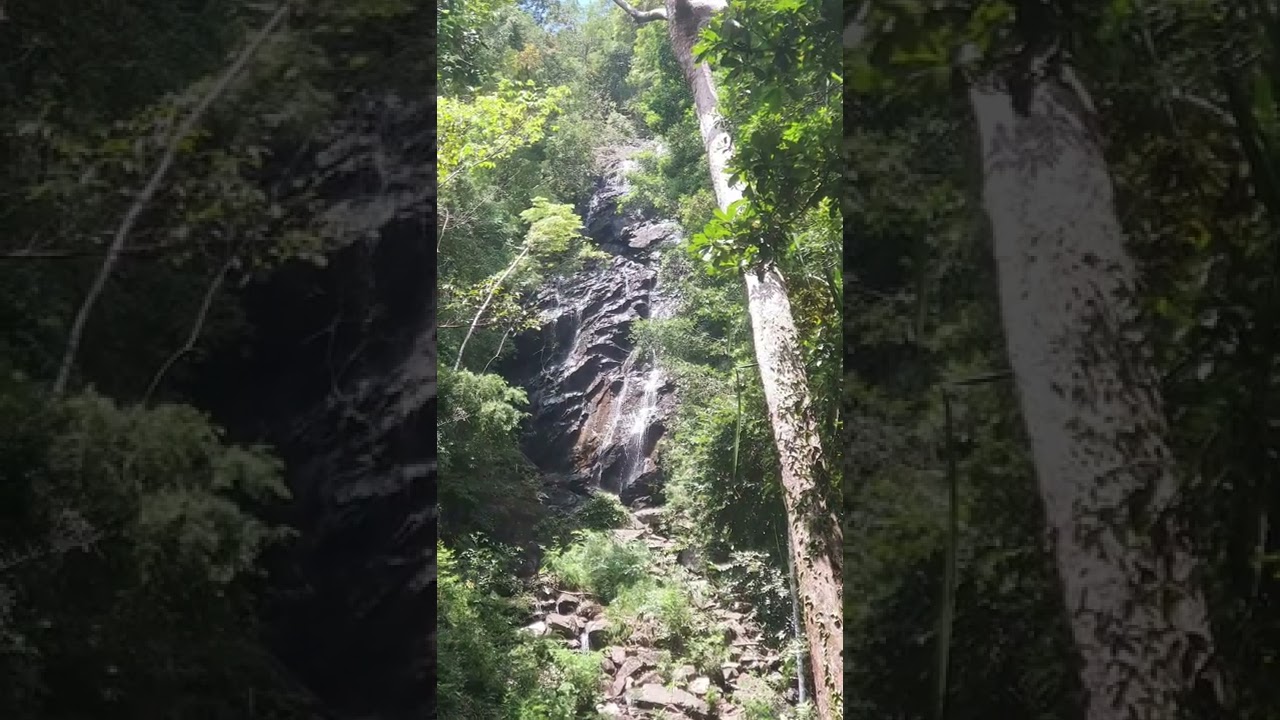 YouTube Short thumbnail