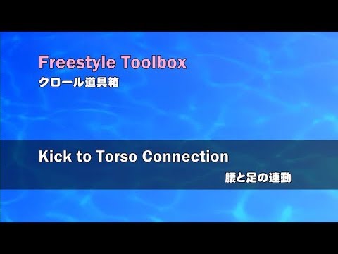 TB220-Kick to Torso Connection