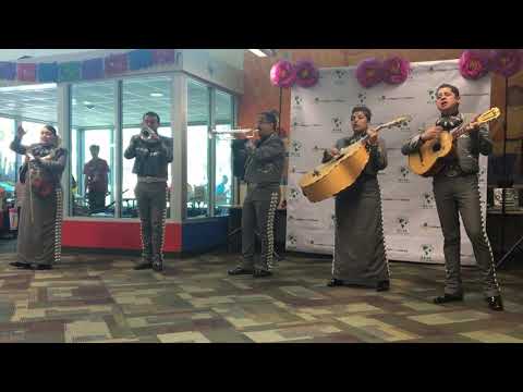 Baby shark mariachi version! ENDING