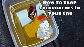 How To Trap Cockroaches That Live In Car | Cara Tangkap Lipas Di Kereta | Hanya Guna 2 Bahan
