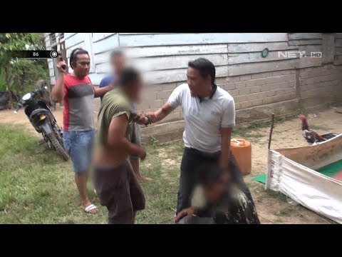 download lagu mp3 mp4 Sabungayam In, download mp3 Sabungayam In free download mp3, download mp3 Sabungayam In