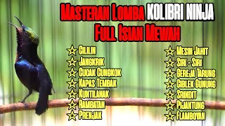 Download lagu MASTERAN LOMBA KOLIBRI NINJA TERBAIK FULL TEMBAKAN MATERI ISIAN PANJANG JERNIH MEWAH mp3 Download lagu MASTERAN LOMBA KOLIBRI NINJA TERBAIK FULL TEMBAKAN MATERI ISIAN PANJANG JERNIH MEWAH mp3