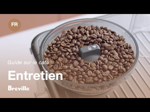 miniature vidéo