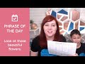 How To Say In Spanish Look At Those Beautiful Flowers Phrase Of The Day