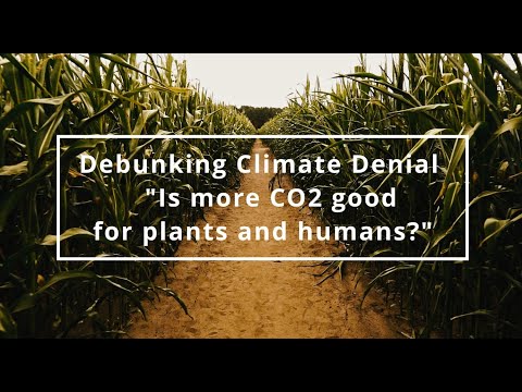 Is More CO2 (Carbon Dioxide) Good for Plants or Not? Hint: Harmful Side Effects