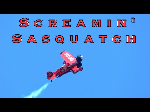 Jack Link's Jet Waco "Screamin' Sasquatch" - Oshkosh 2019