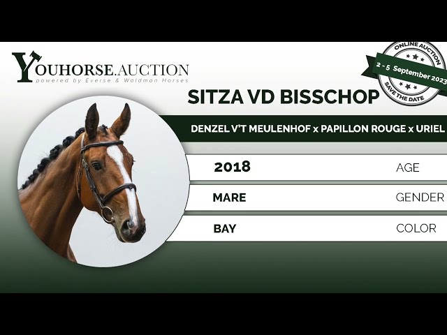 Sitza vd Bisschop