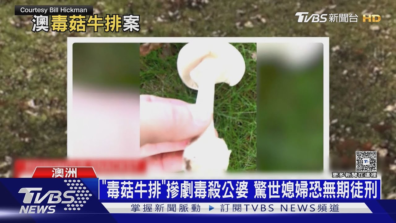 澳洲驚世媳婦!　邀公婆吃「毒菇牛排」　摻入劇毒「死帽菇」