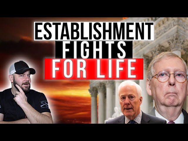Final Sprint To SECRET BALLOT In Senate Majority Race Heats Up... CORNYN Looks To Be LOSING STEAM...