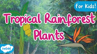 Plants of the Tropical Rainforests | Tropical Plants | Rainforests gameplay video by mgorham, 3:27 duration