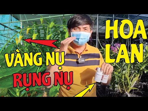 , title : 'Lan Bị Vàng Nụ, Rụng Nụ Sẽ Hết Ngay Nếu Biết Điều Này | #MêLanTV'