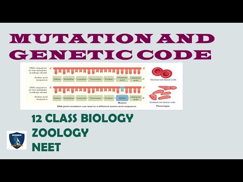 Mutation and genetic code | Molecular Genetics | 12 class | Zoology | Science Easy Tech