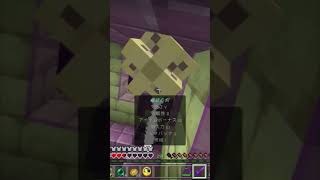 なんと素晴らしい事でしょう.エンドシティー27【マインクラフト】　#shorts