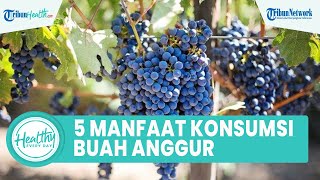5 Manfaat Konsumsi Anggur Baik untuk Kesehatan Tubuh, Satu di Antaranya Mencegah Radikal Bebas