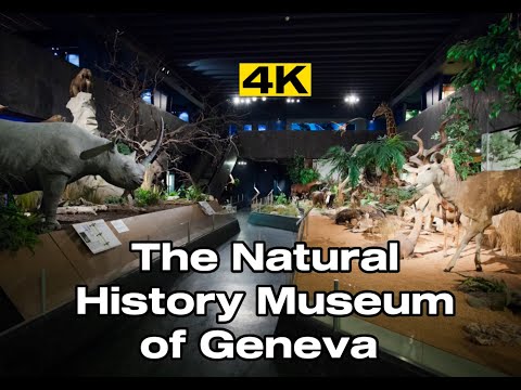The Natural History Museum of Geneva | Muséum d'histoire naturelle de Genève | Музей Флоры и Фауны |